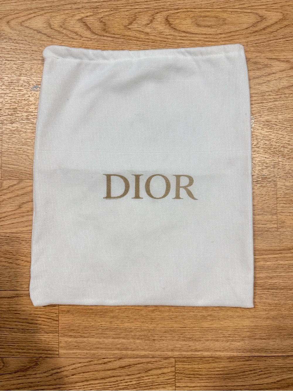 DIOR Pouch Bag